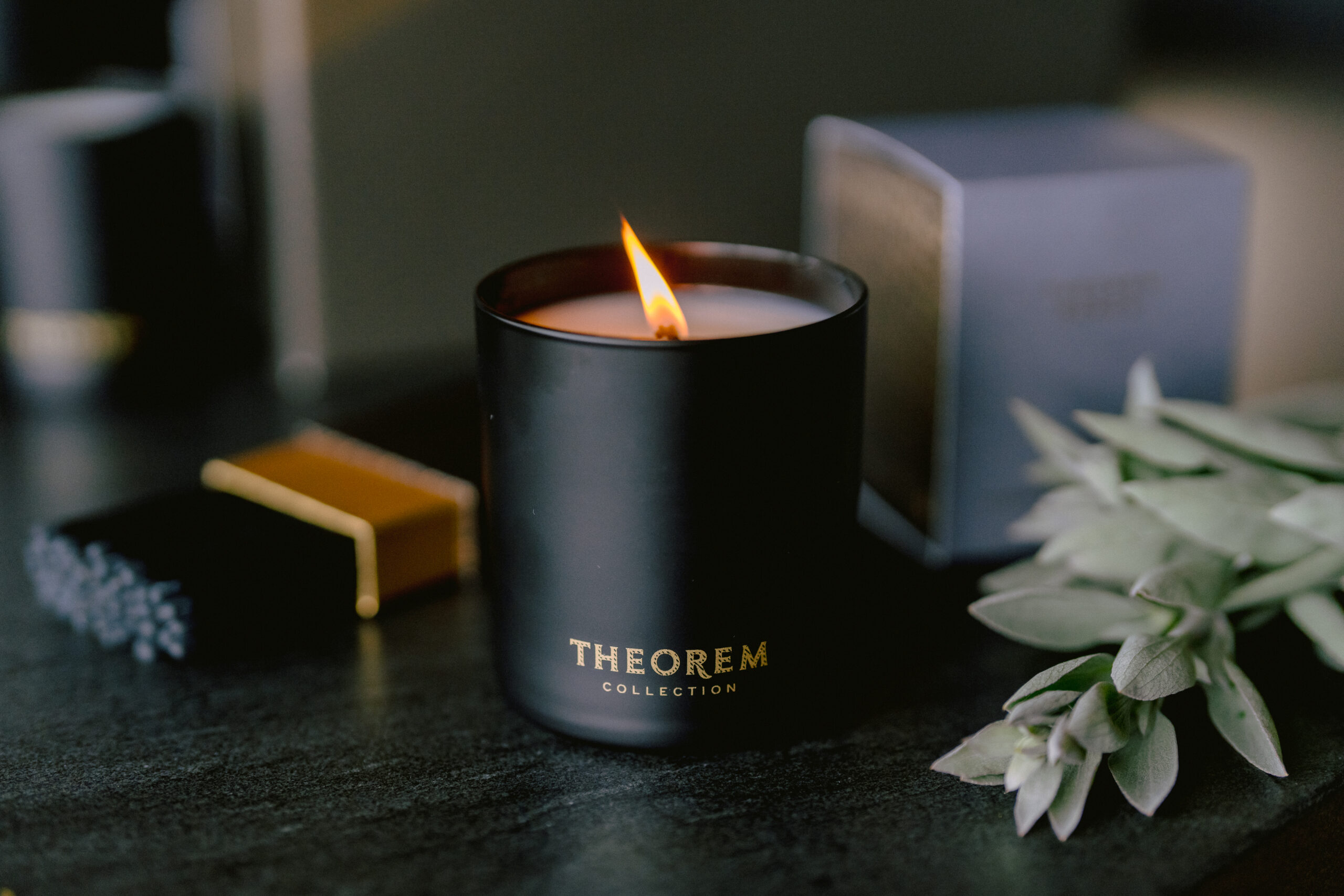 Theorem_Candle_SB_release-02087